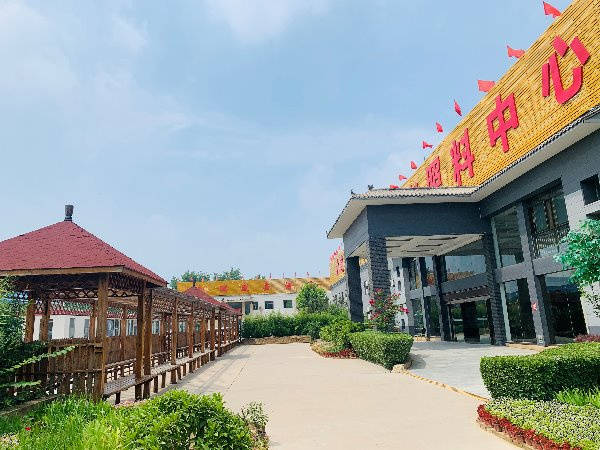 养老院2026详情：社交活动丰富让高龄老人有同龄玩伴不孤单AG真人国际游戏哪家养老院活动多能让父母不孤单？丰台民族(图5)