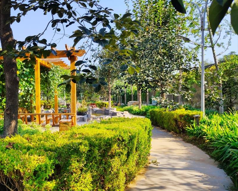 养老院2026详情：社交活动丰富让高龄老人有同龄玩伴不孤单AG真人国际游戏哪家养老院活动多能让父母不孤单？丰台民族(图45)