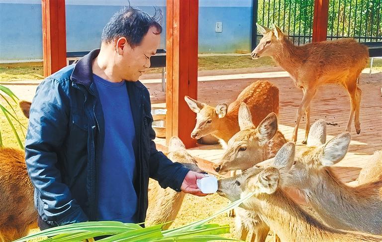 量发展产业调研】林下生金AG真人游戏平台【高质(图2)