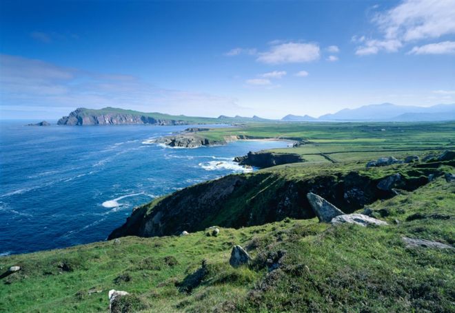 革！爱尔兰猪肉抢占新赛道AG真人中国猪肉消费大变(图12)